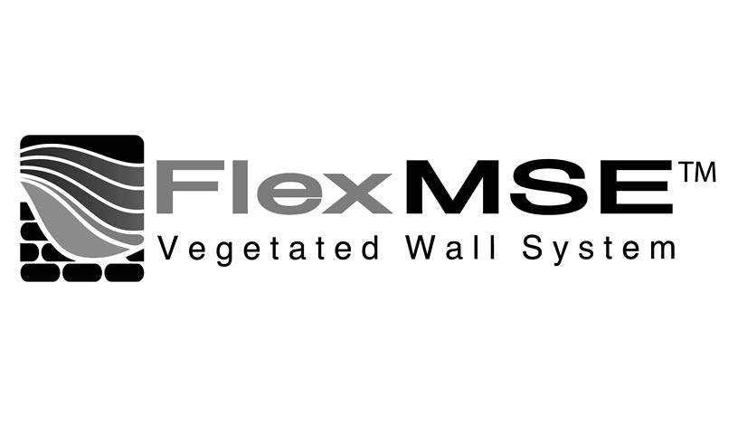 FlexMSE Logo